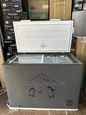 Hisense 400L Deep Freezer