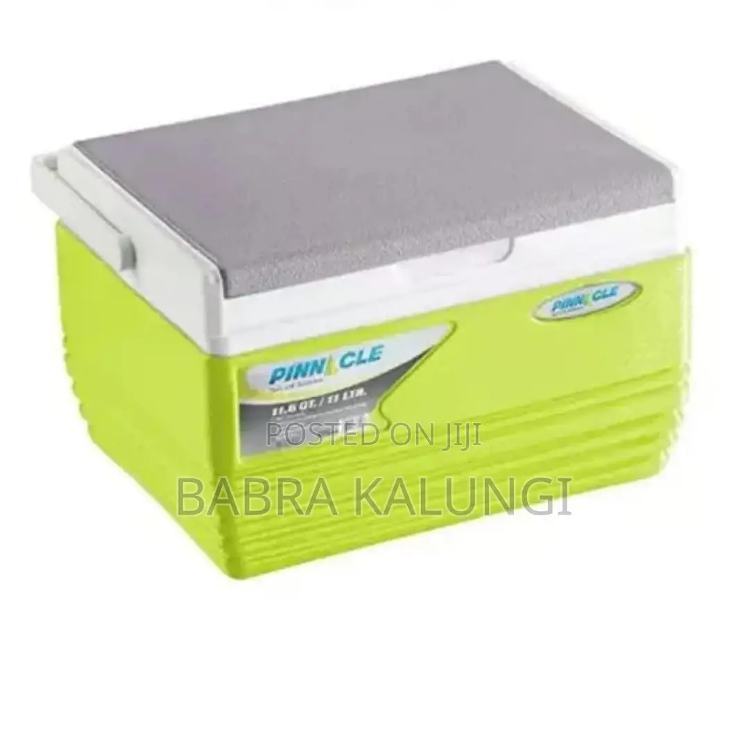 Pinnacle Insulated Cooler Lce Chiller Box 11l Lemon Green