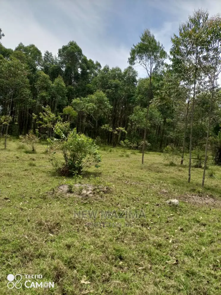 100 Acres of Private Land Title Onsale in Masaka Kyanamukaka
