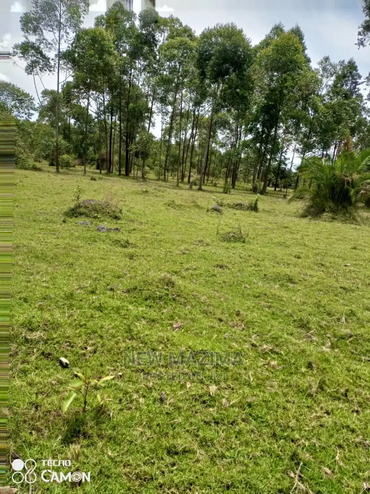 100 Acres of Private Land Title Onsale in Masaka Kyanamukaka