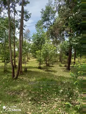 100 Acres of Private Land Title Onsale in Masaka Kyanamukaka