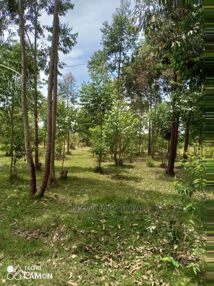 100 Acres of Private Land Title Onsale in Masaka Kyanamukaka