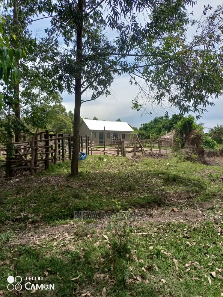 100 Acres of Private Land Title Onsale in Masaka Kyanamukaka