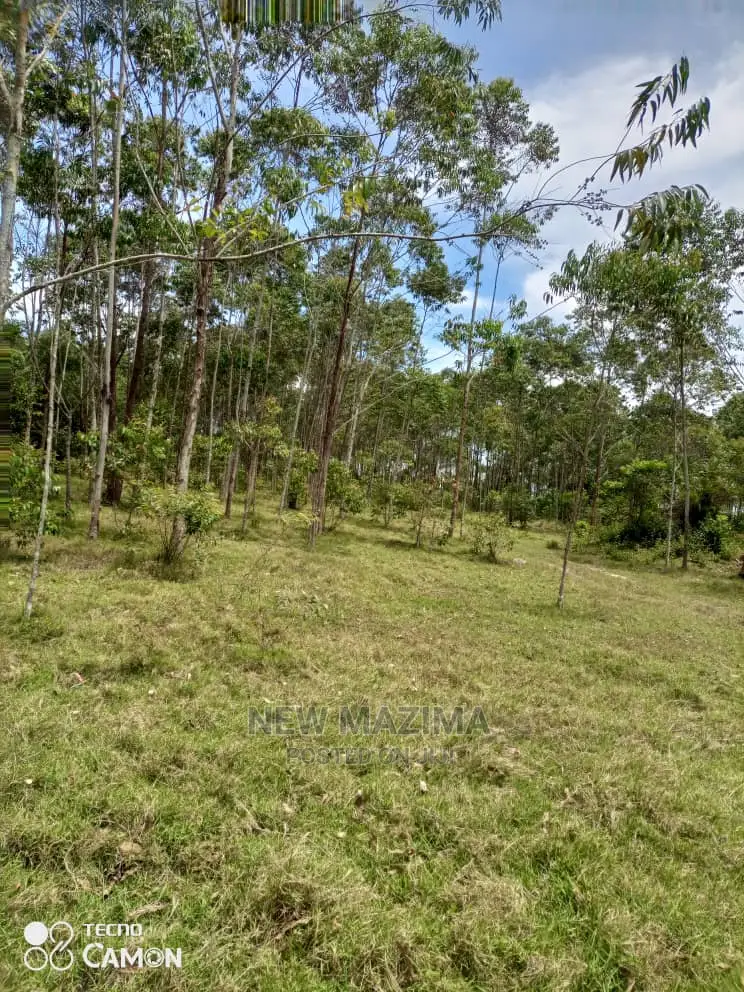 100 Acres of Private Land Title Onsale in Masaka Kyanamukaka