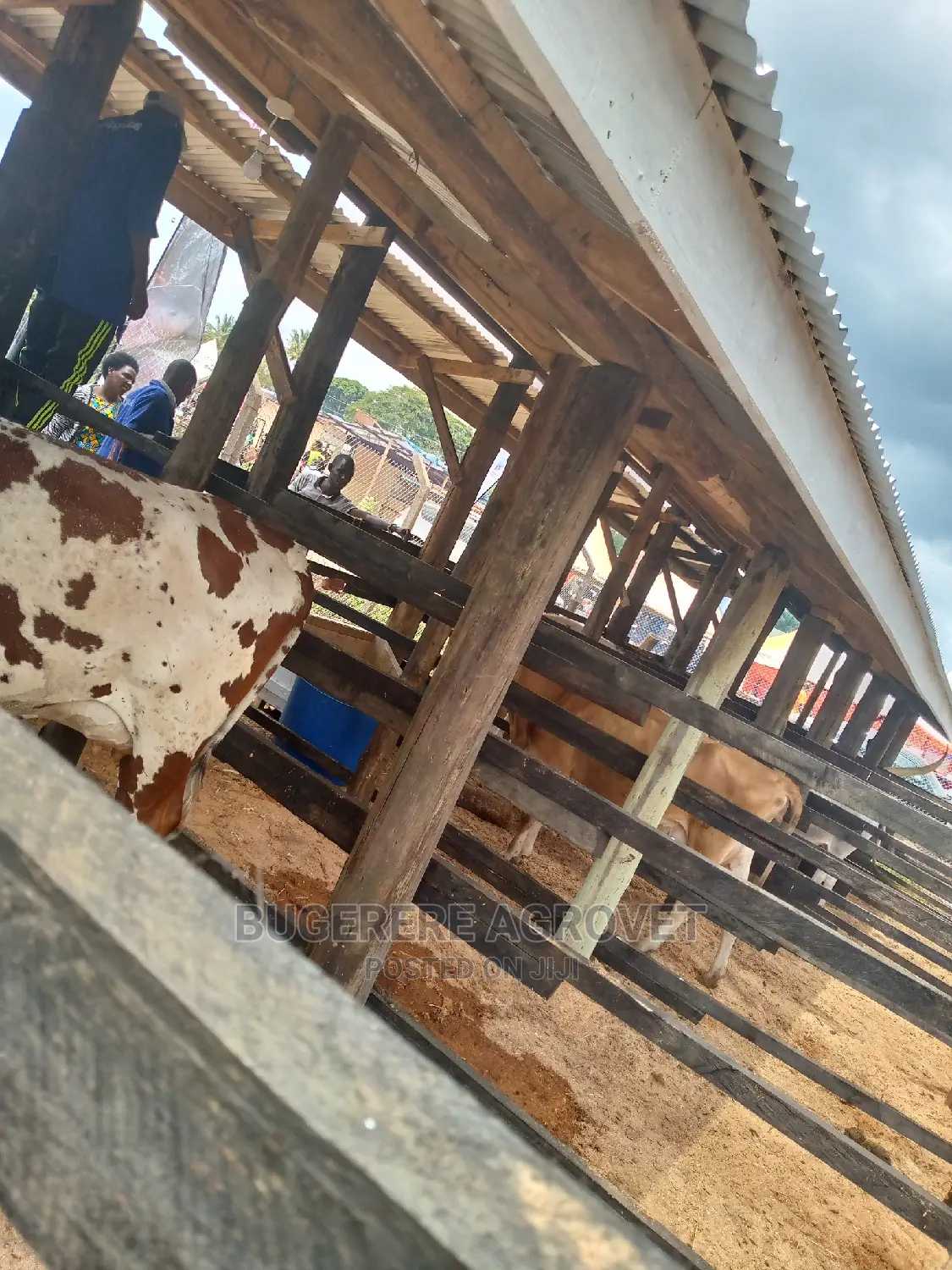 Farm Structuring