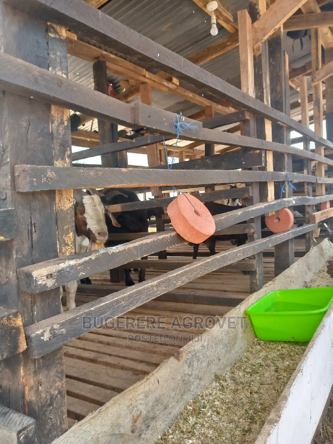 Farm Structuring