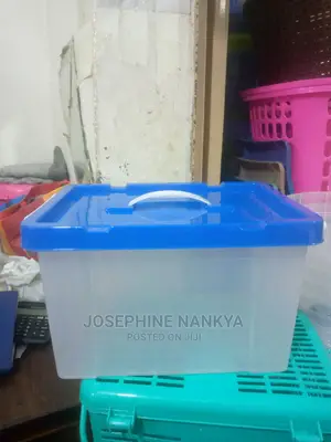 Transparent Storage Box, Medium