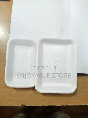 Disposable Plastes(Packaging) 12pcs