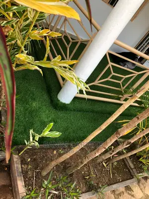Artificial Grass