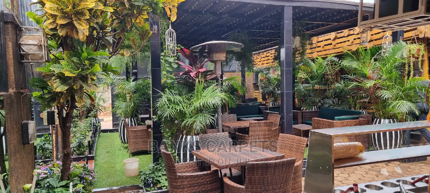 Artificial Grass