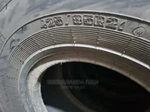 425/85r21 Tyres