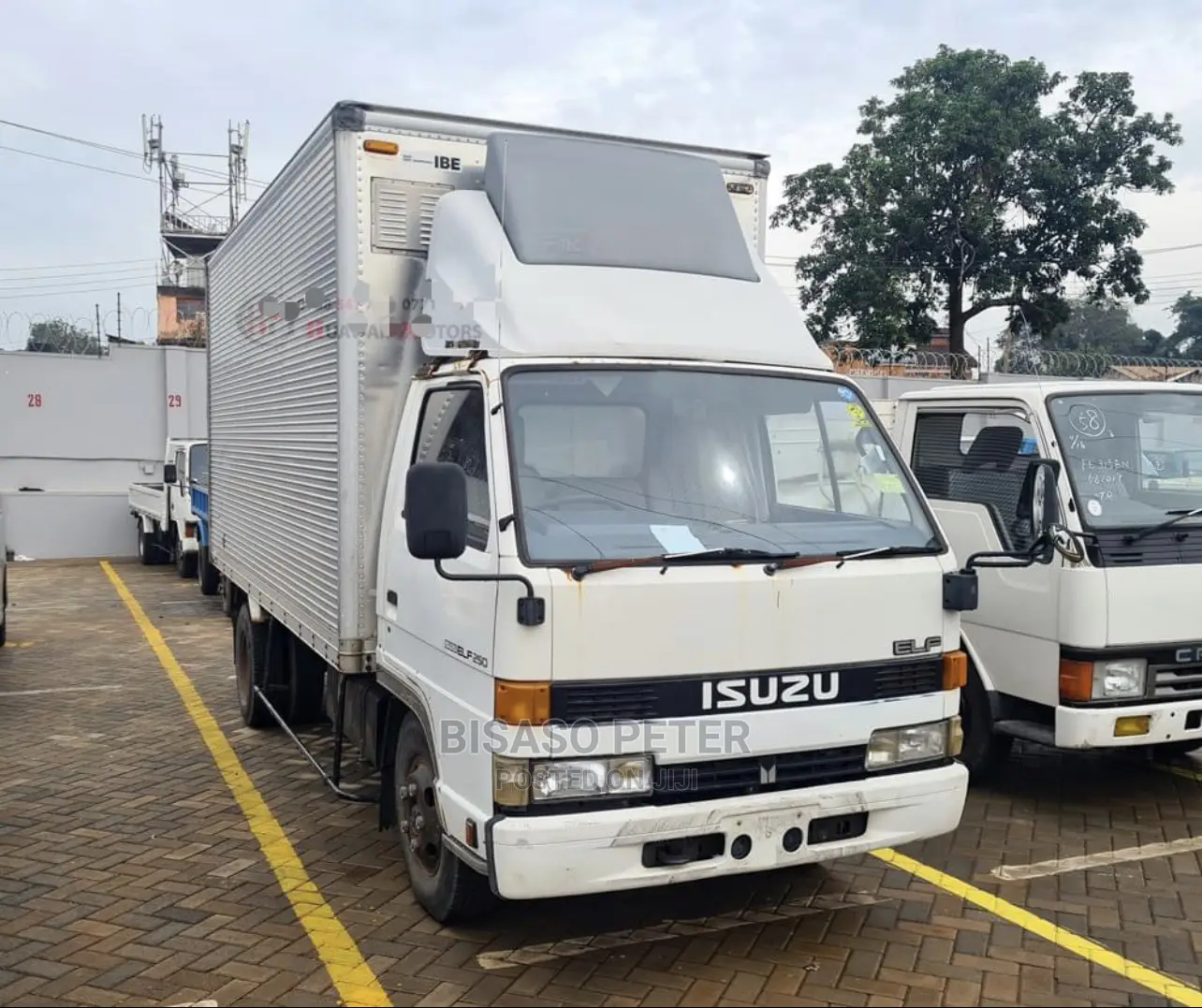 Isuzu Elfu Box Body