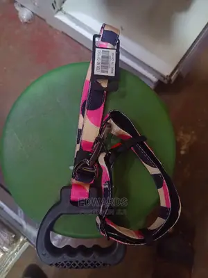 Dog Leashes