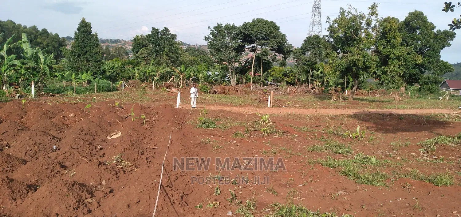 Kitende Ssisa Pride Plot Onforcedsale at Gd Price With Title
