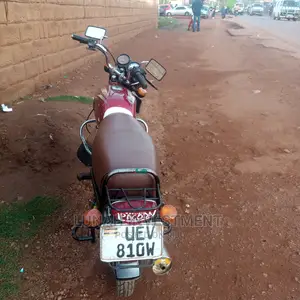 TVS HLX 125 2022 Purple