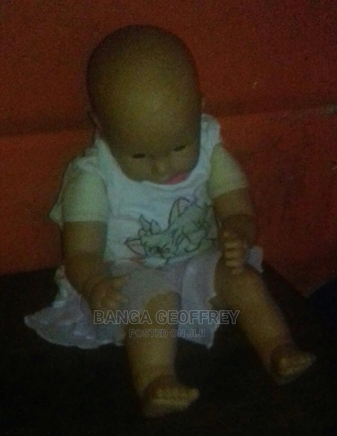 Dolls and Dollhouse