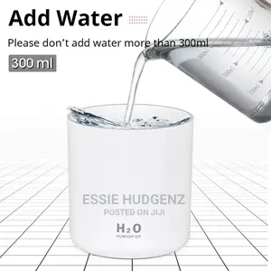300mls Mini Air Humidifier