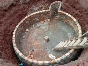 Biogas Clean Reliable Cooking Gas From Human Animals