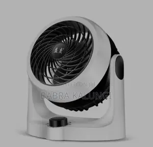 Electric Fan ( Air Circulation Fan)