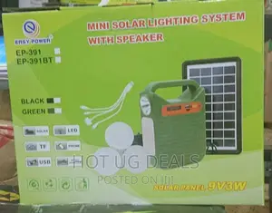 Solar Lighting Kit With 4 Lights and Fm Radio - Green