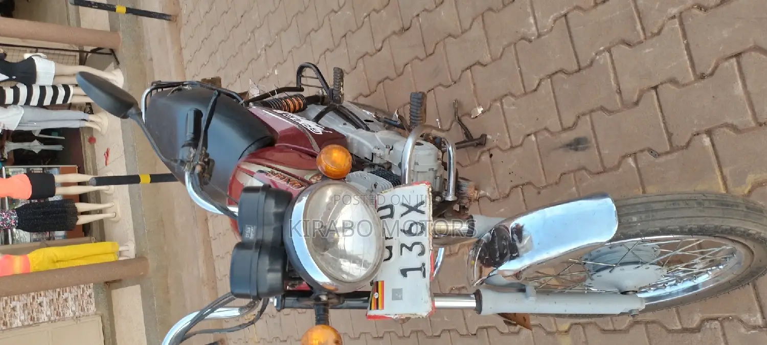 New Bajaj Boxer 2021 Green