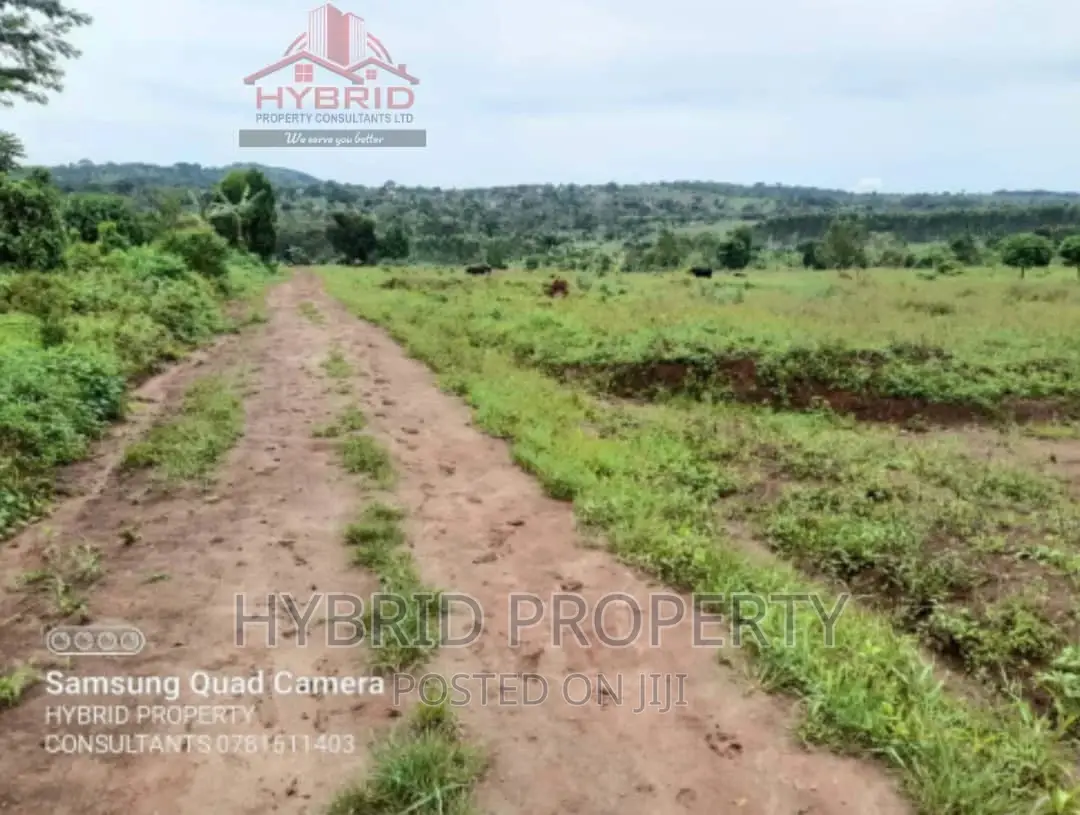 Prime Plots for Sale at Our Mwera~Kakiri Along Hoima Road.