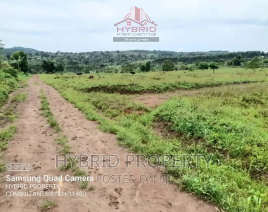 Prime Plots for Sale at Our Mwera~Kakiri Along Hoima Road.