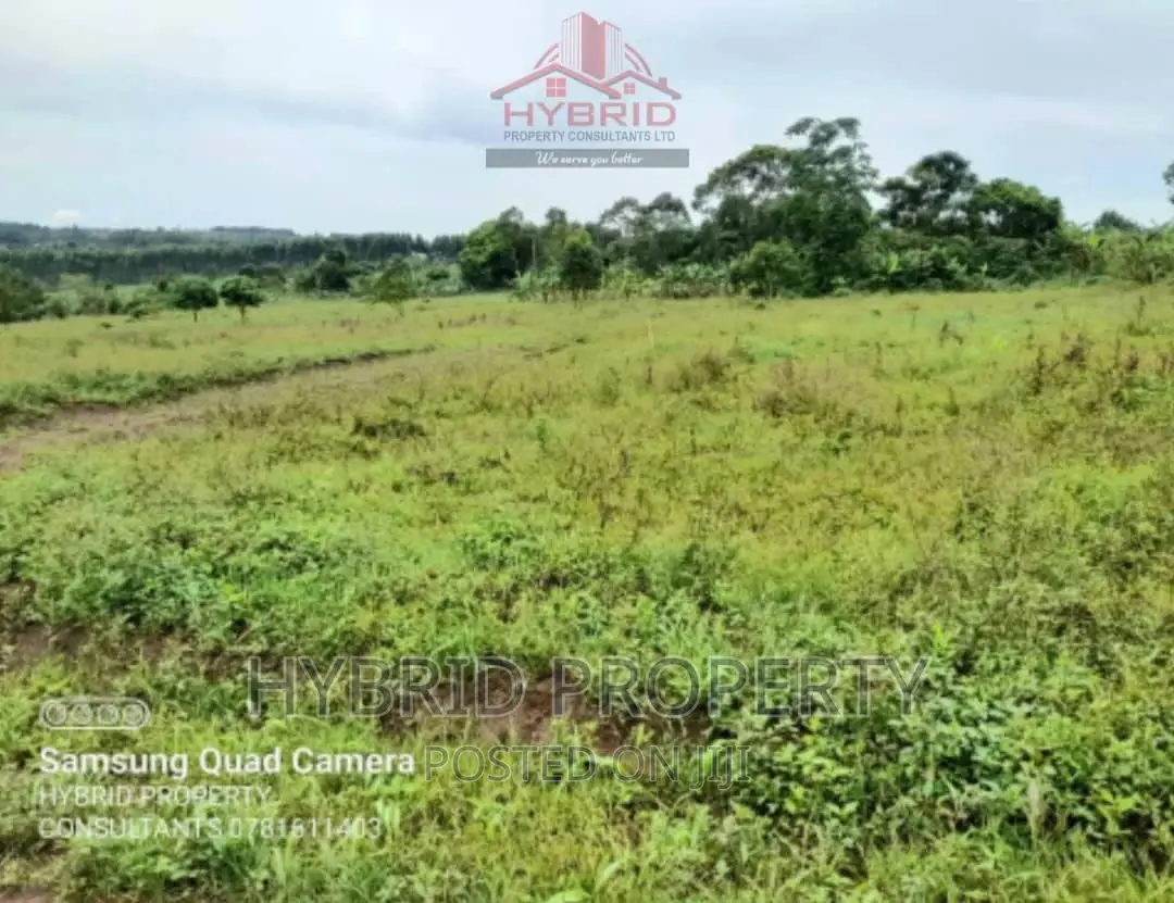 Prime Plots for Sale at Our Mwera~Kakiri Along Hoima Road.