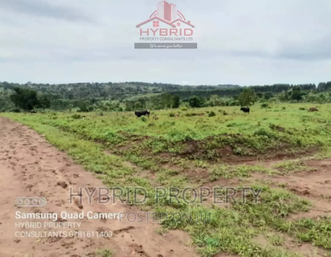 Prime Plots for Sale at Our Mwera~Kakiri Along Hoima Road.