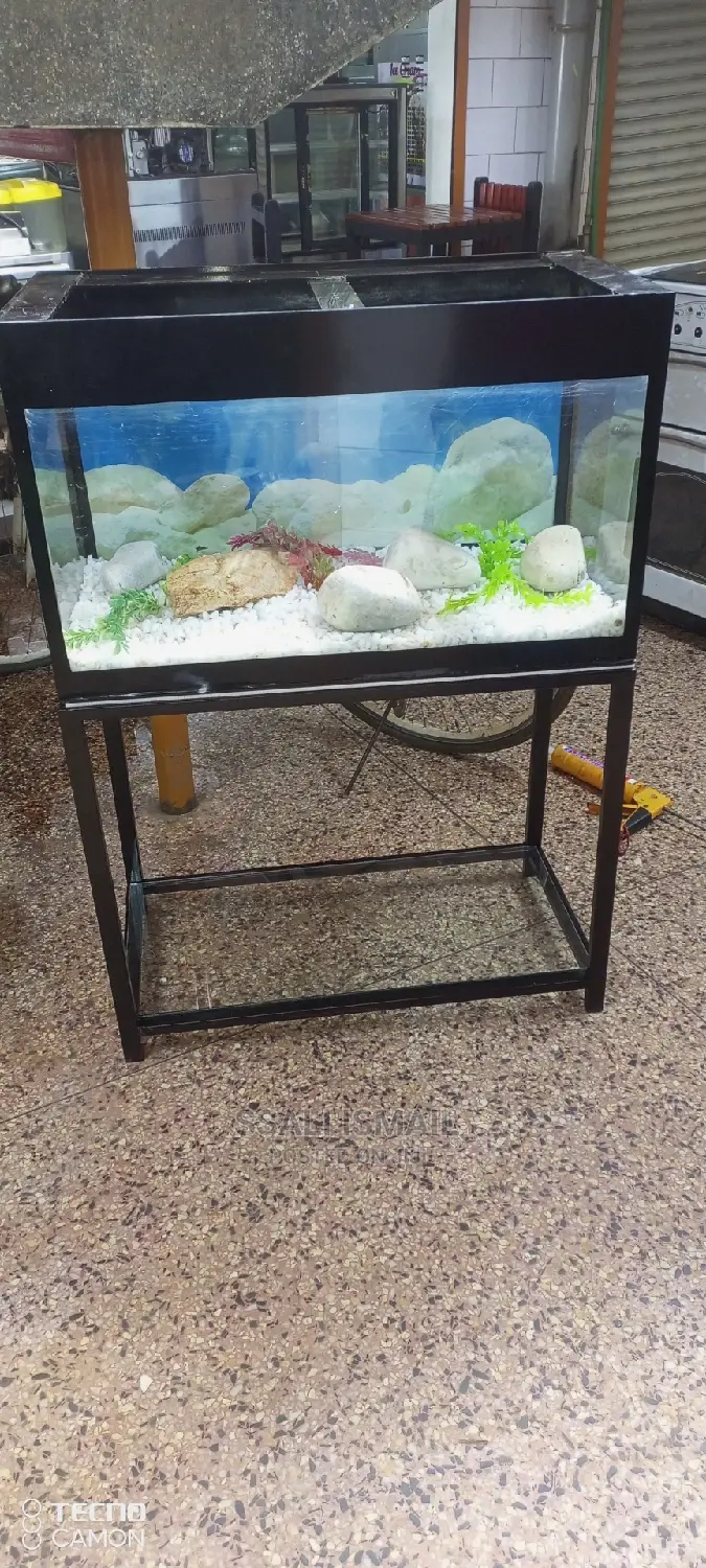 Best Aquarium Best Interior Strong Pump