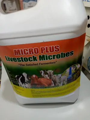 Livestock Microbes