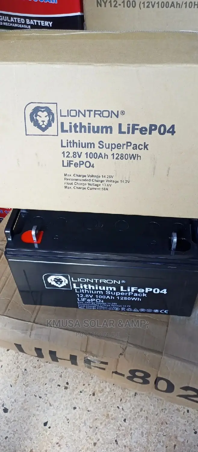 100ah Liontron Lithium Battery