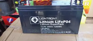 100ah Liontron Lithium Battery
