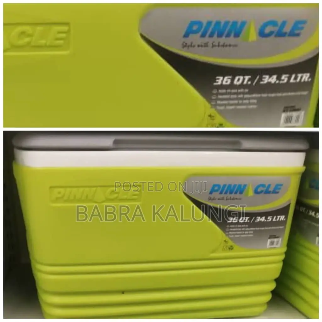 Portable Cooler Box