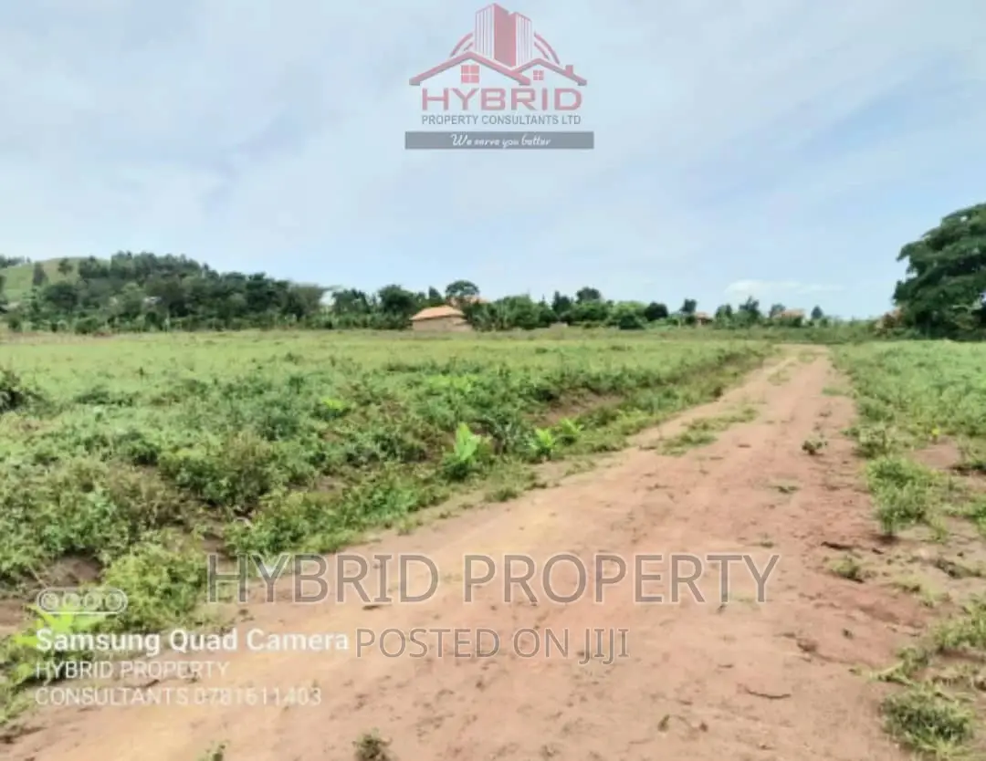 Prime Plots for Sale at Our Gobero~Muguluka Along Hoima Rd.