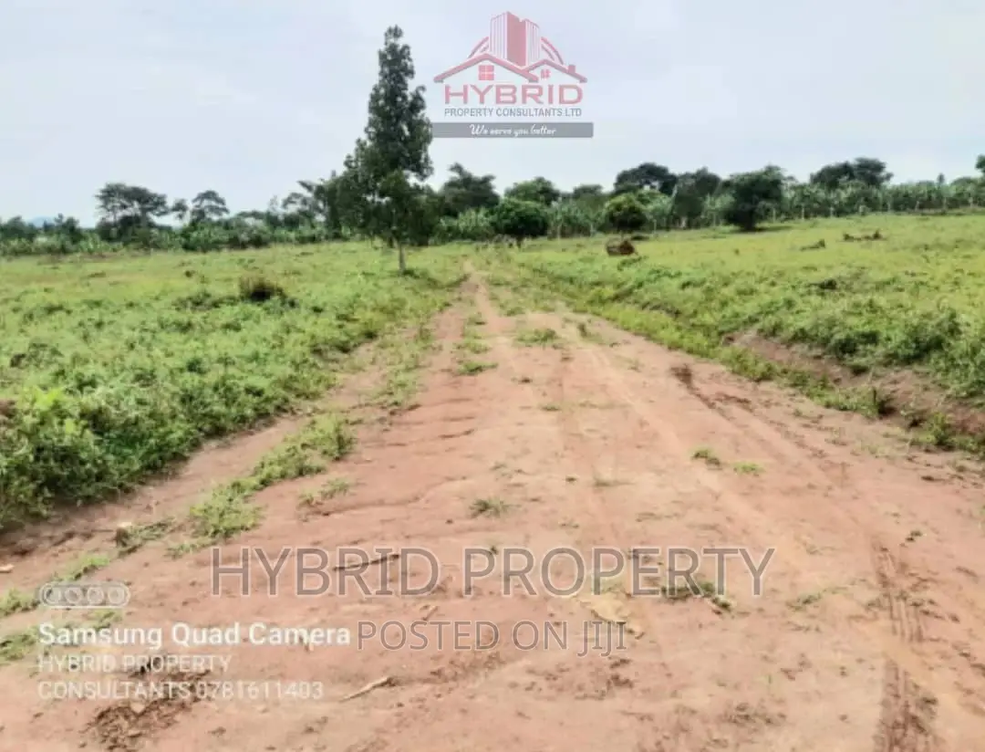 Prime Plots for Sale at Our Gobero~Muguluka Along Hoima Rd.