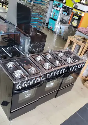 Style Cooker (1 Electric Plates + 3 Gas Plates)