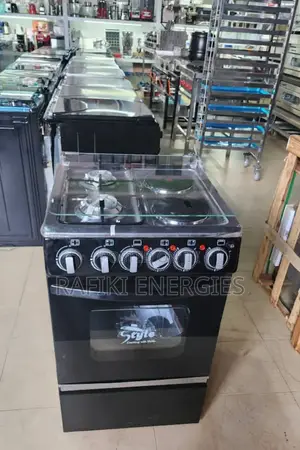 Style Cooker (1 Electric Plates + 3 Gas Plates)
