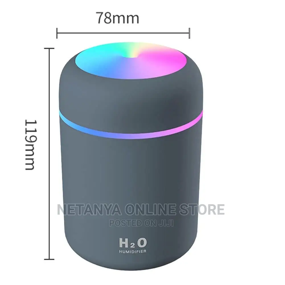 Mini Car Humidifier