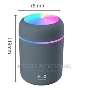 Mini Car Humidifier