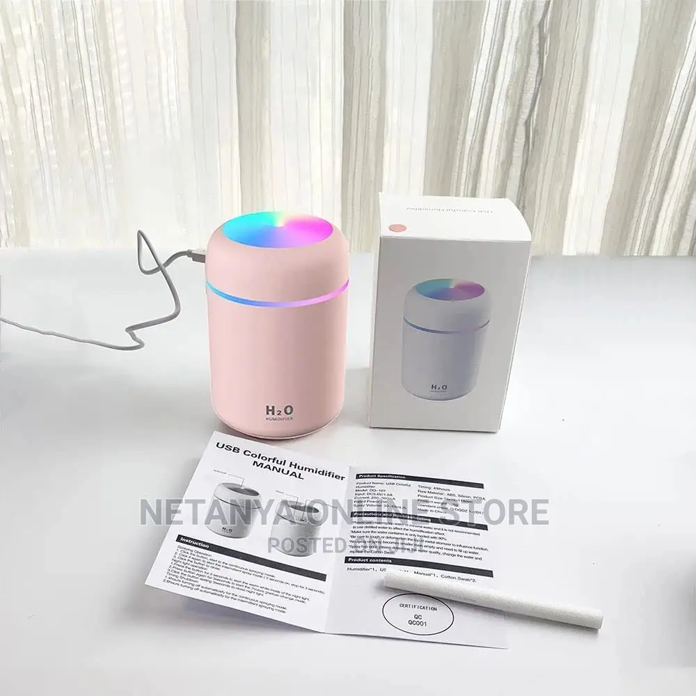 Mini Car Humidifier