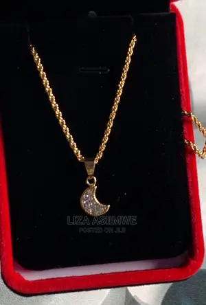 Simple Lady Necklaces Available With a Gift Box