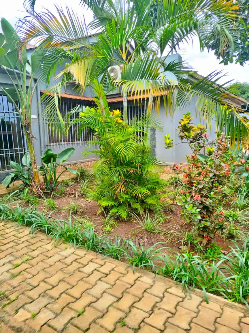 Furnished 3bdrm Bungalow in Kololo Property, Rubaga for Rent