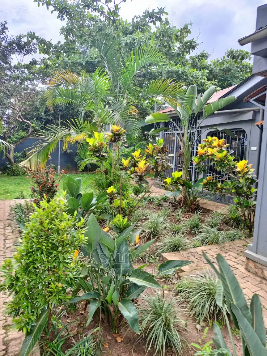 Furnished 3bdrm Bungalow in Kololo Property, Rubaga for Rent