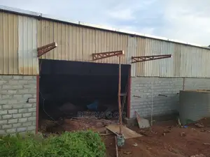 Steel Shade Construction (Canopy)