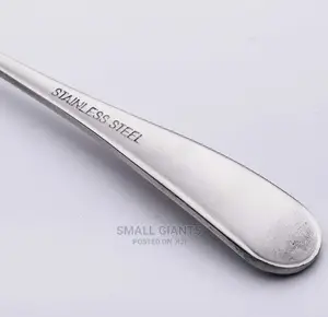 12pcs Stainless Steel Ice Cream, Dessert, Coffee Spoons