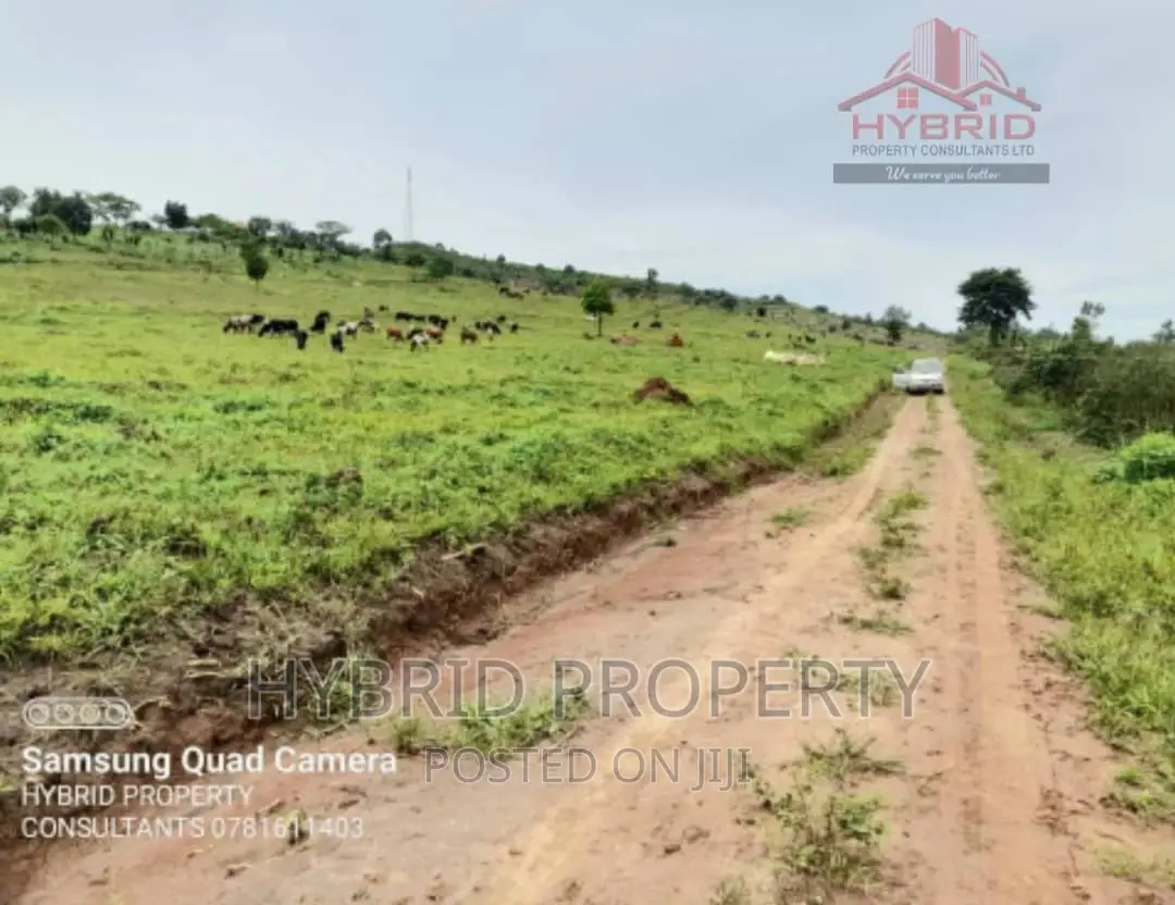 Prime Plots for Sale at Gobero Muguluka II Estate~Hoima Rd.