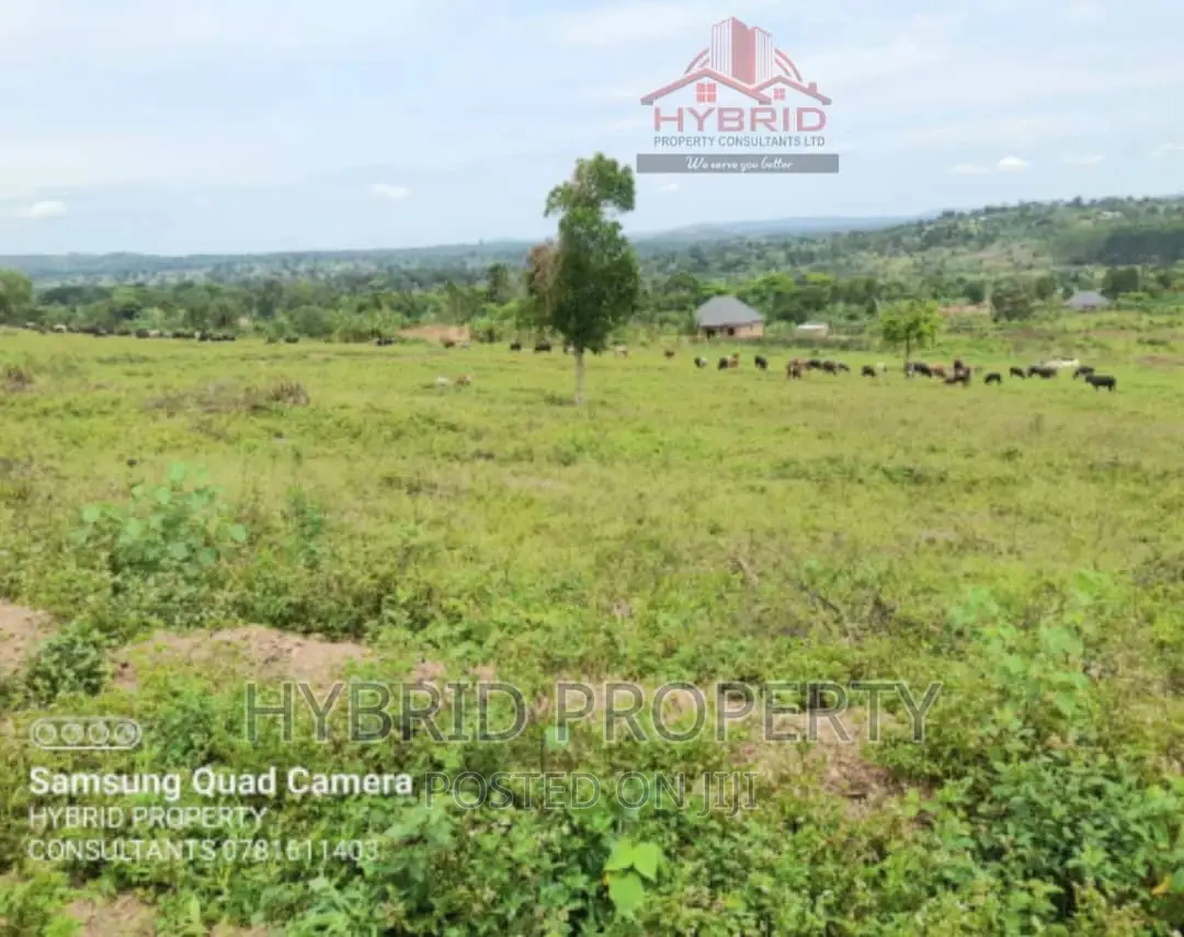 Prime Plots for Sale at Gobero Muguluka II Estate~Hoima Rd.