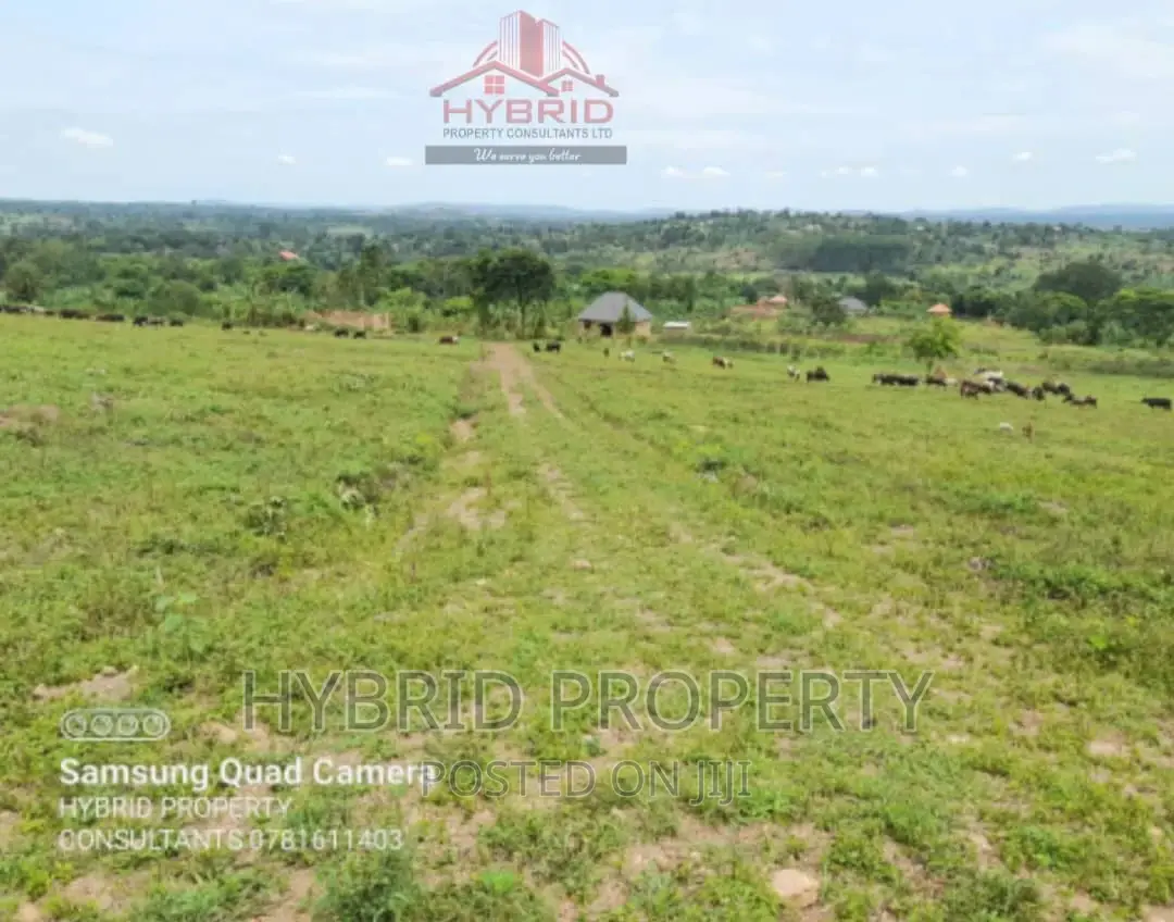 Prime Plots for Sale at Gobero Muguluka II Estate~Hoima Rd.