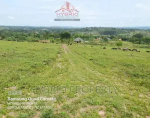 Prime Plots for Sale at Gobero Muguluka II Estate~Hoima Rd.
